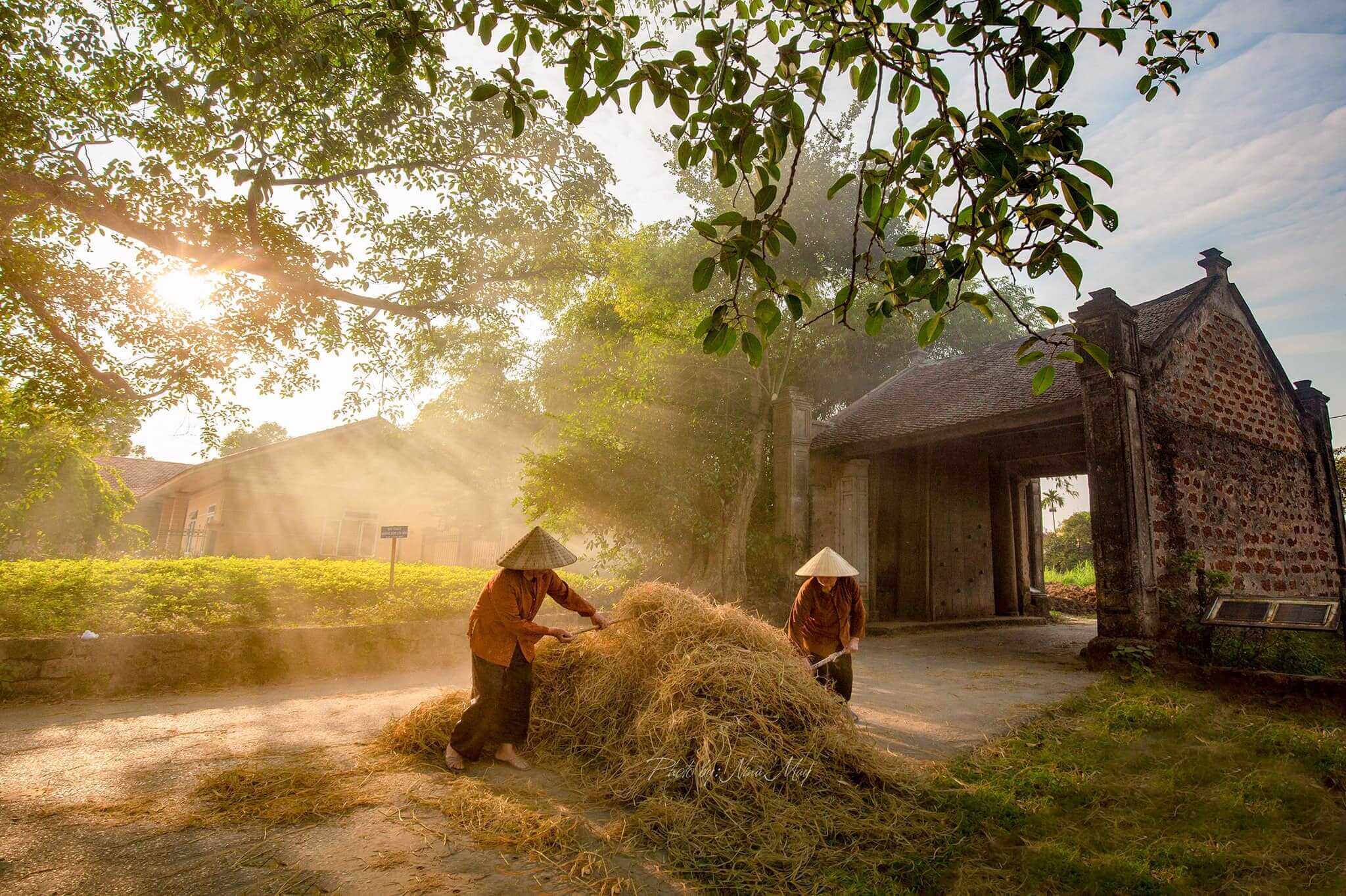 TRADITIONAL CRAFTS & DUONG LAM VILLAGE TOUR