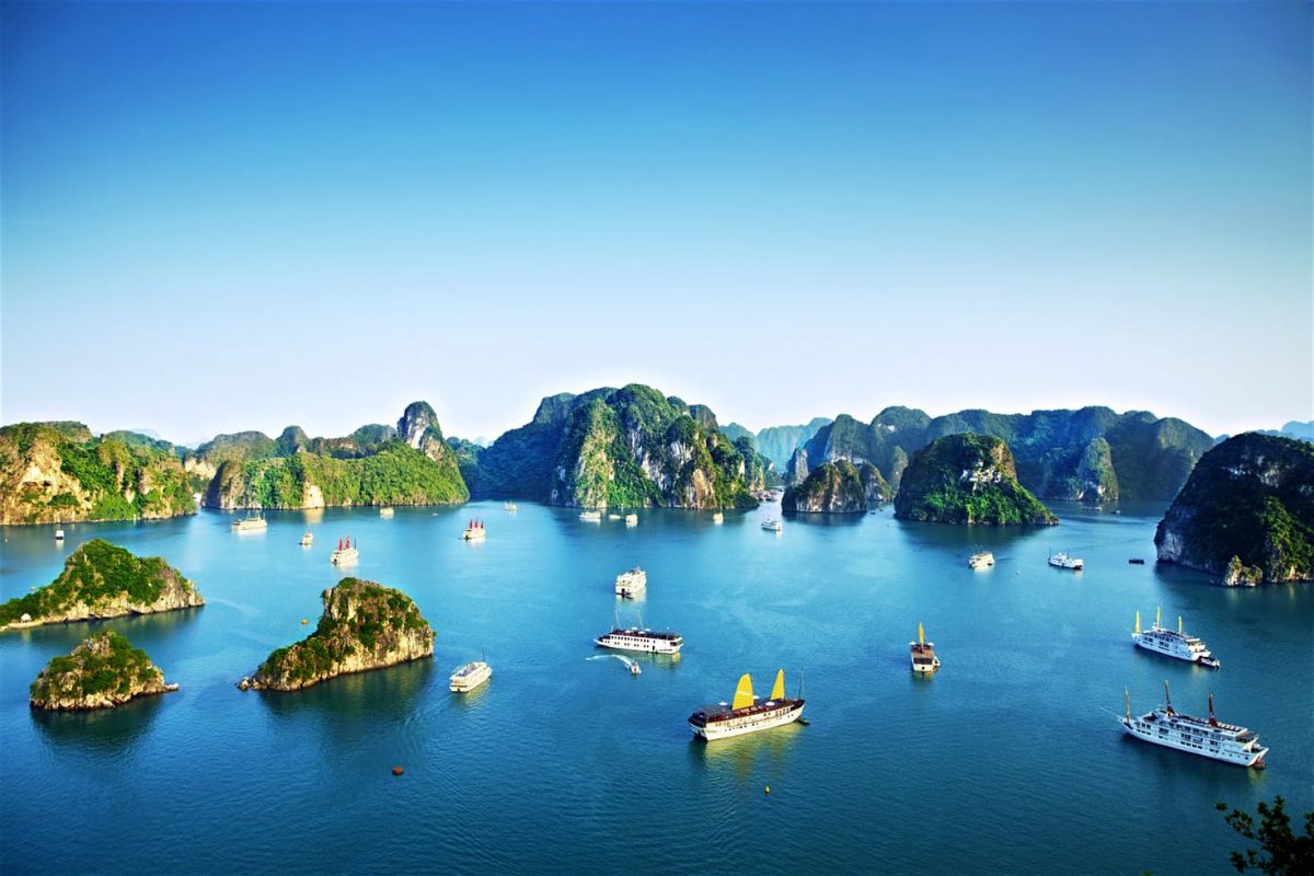Premium Cruises